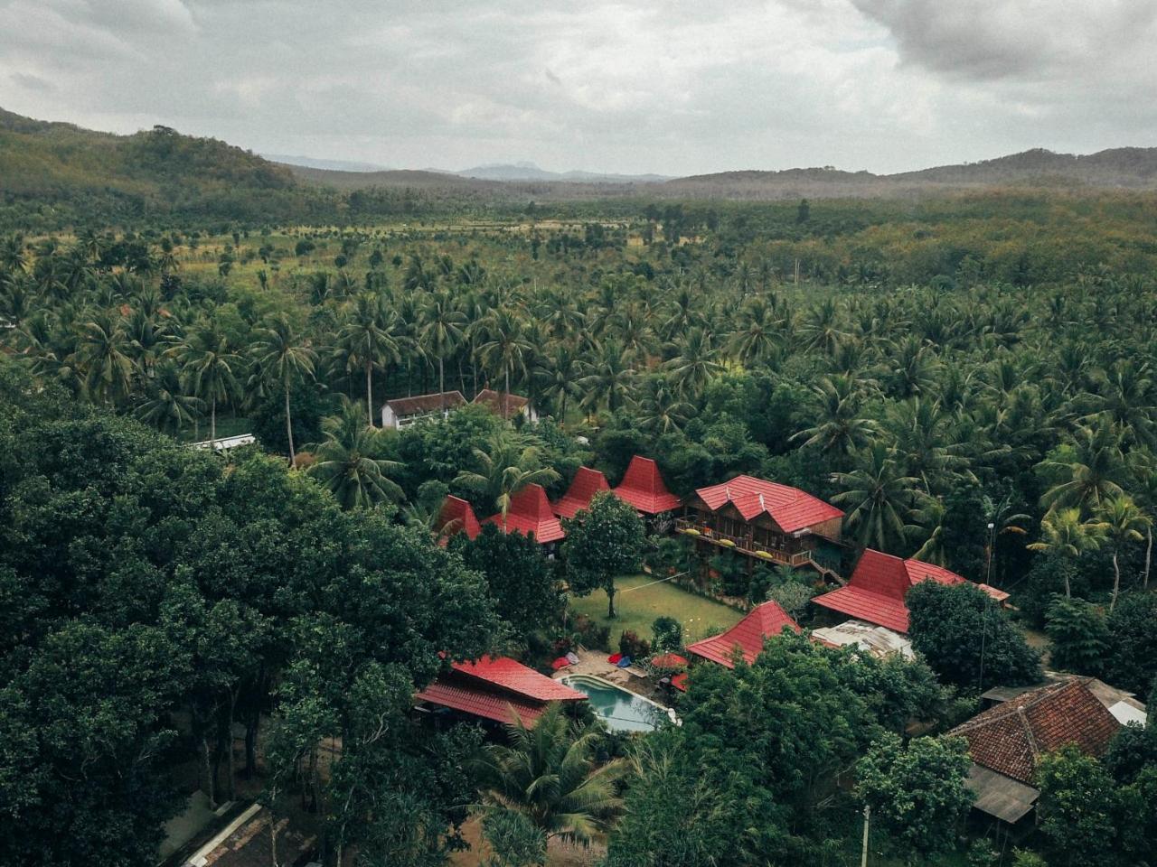 Hotel Mojosurf Camp Red Island Pasanggaran Exteriér fotografie